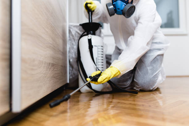 Best Local Pest Control Services  in Pleasant Hill, TX