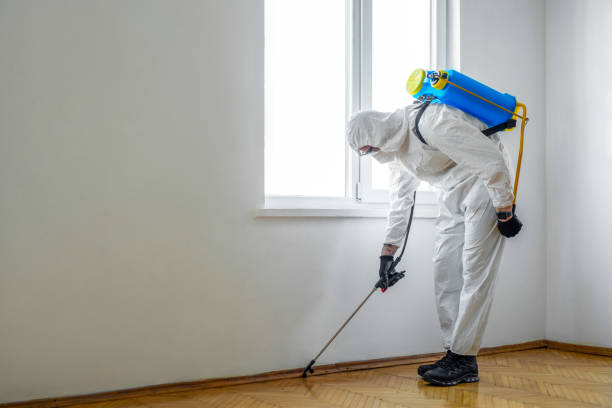 Best Mosquito Control Services  in Pleasant Hill, TX