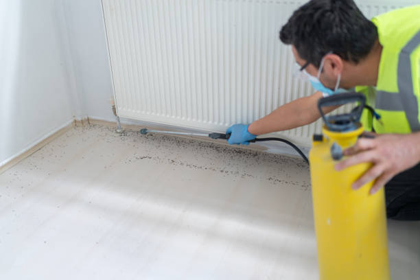 Best Best Pest Control Companies  in Pleasant Hill, TX