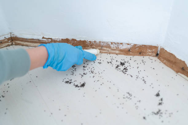 Pest Control for Restaurants in Pleasant Hill, TX