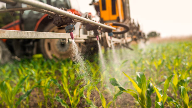 Professional Pest Control in Pleasant Hill, TX